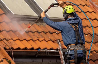 Démoussage et hydrofuge de toiture à Villate